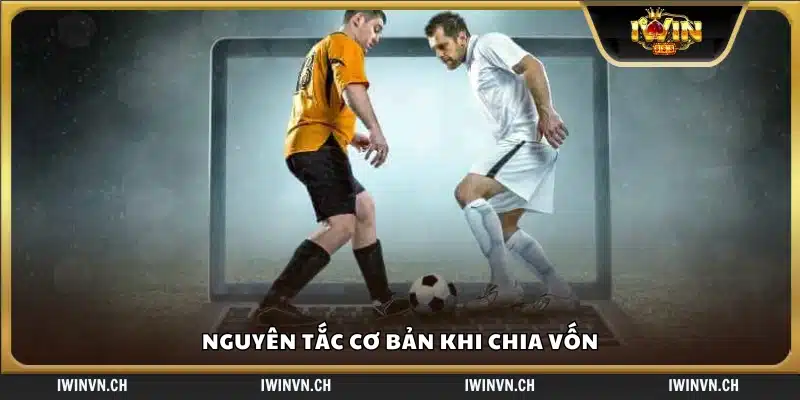 Các nguyên tắc cần nhớ khi chia vốn hợp lý